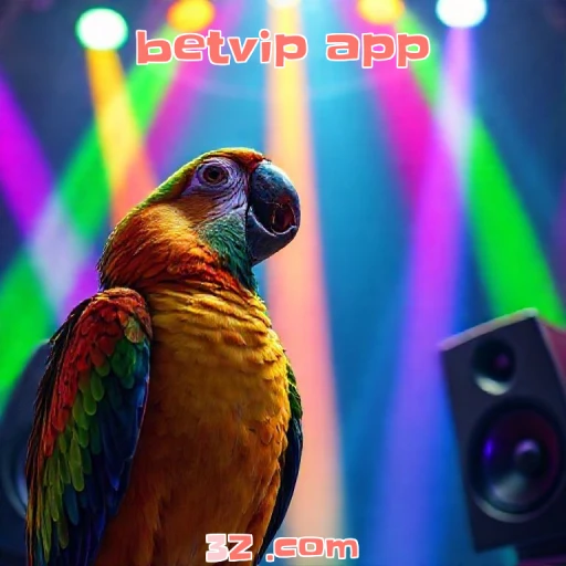 Ofertas Imperdíveis de Bonuses no Betvip App para Você